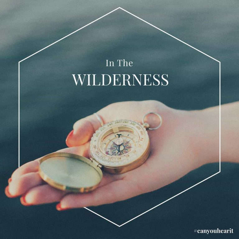 in the wilderness bible part 1