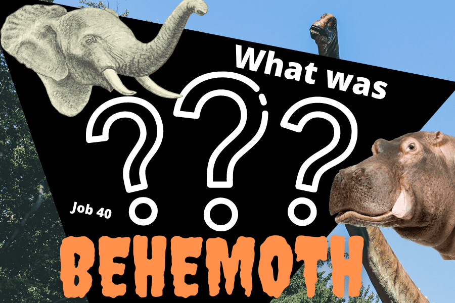 The Amazing Behemoth Bible Account | 4 possible beasts