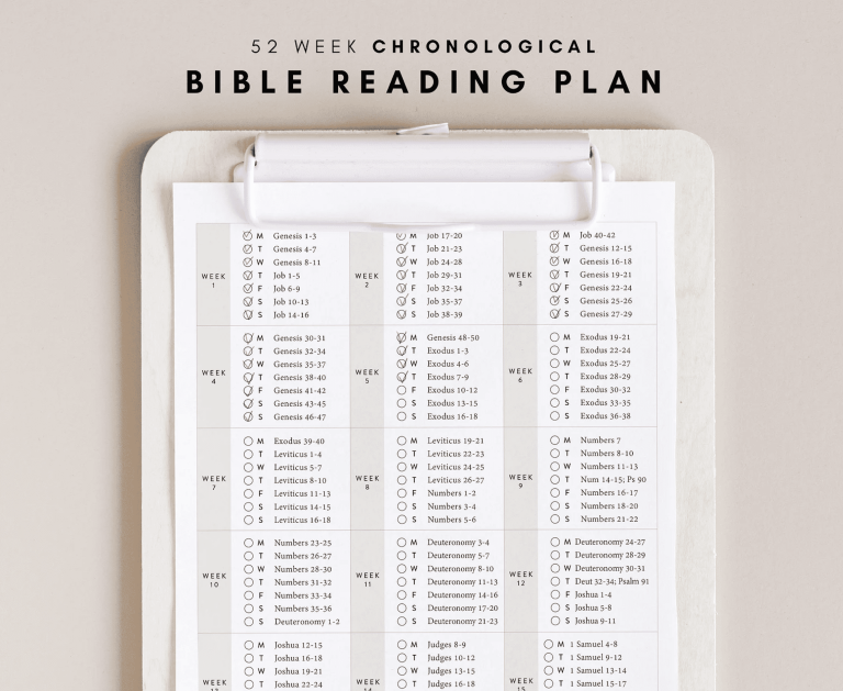 Bible reading plan cover